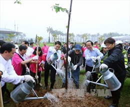Thêm 500 cây hoa anh đào được trồng tại Công viên Hòa Bình, Hà Nội 